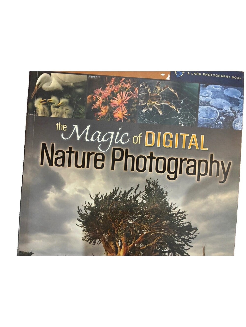 Lark Books The Magic of Digital Nature Photography Rob Sheppard 2006 Paperback